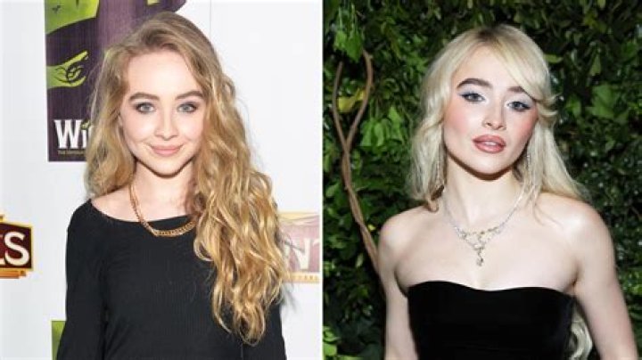 Is It True That Sabrina Carpenter's Beauty Is The Result Of Plastic Surgery?
